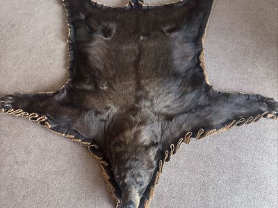 Bear Rug