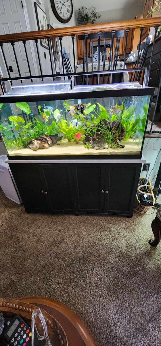  COMPLETE 75-GALLON PLANTED AQUARIUM SETUP FOR SALE 