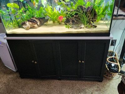 COMPLETE 75-GALLON PLANTED AQUARIUM SETUP FOR SALE