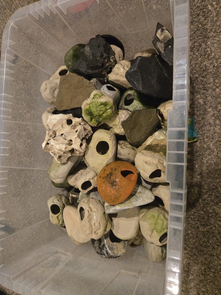 Main image 4
