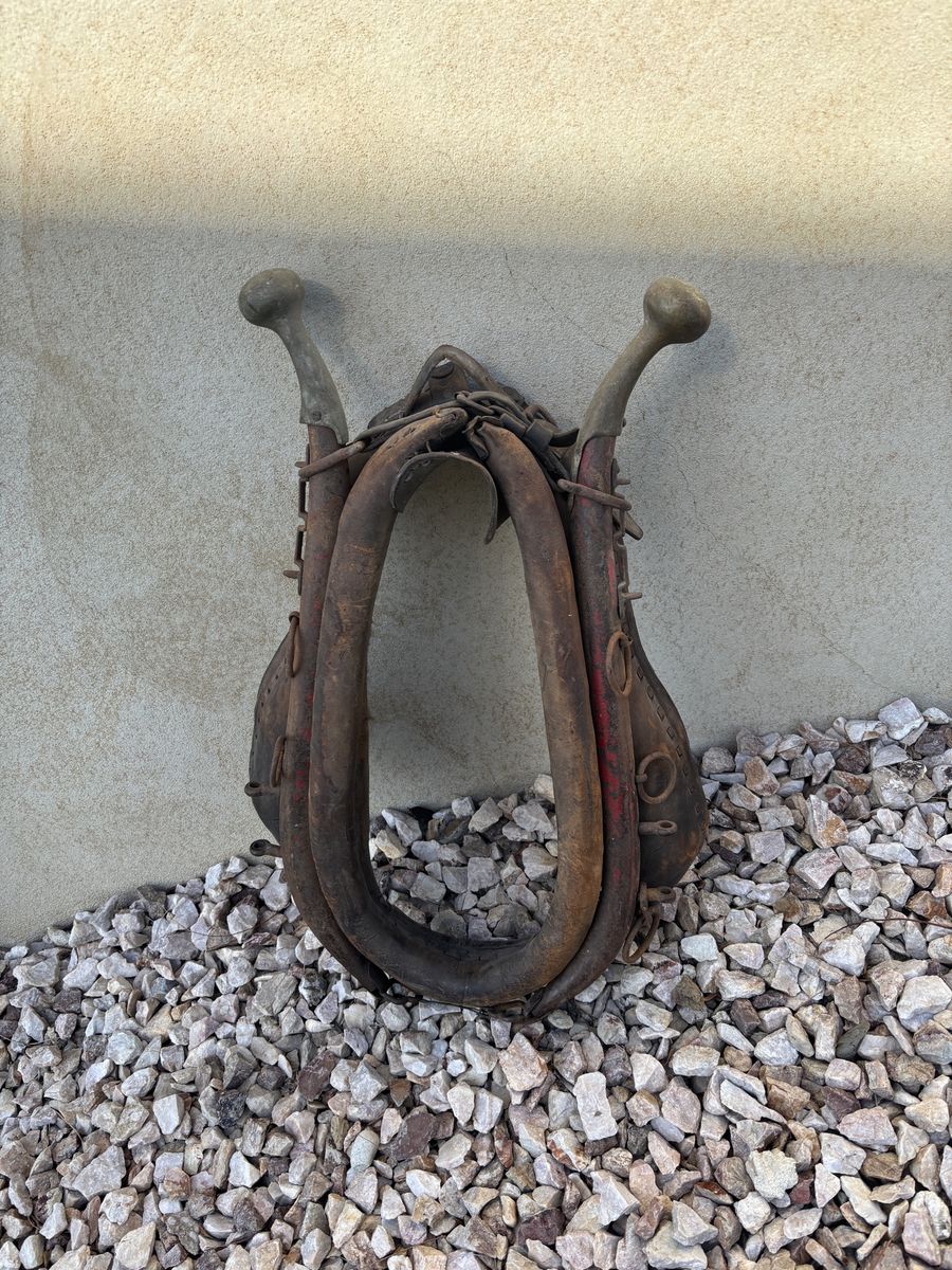 Anyique Horse Collar
