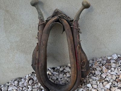 Anyique Horse Collar