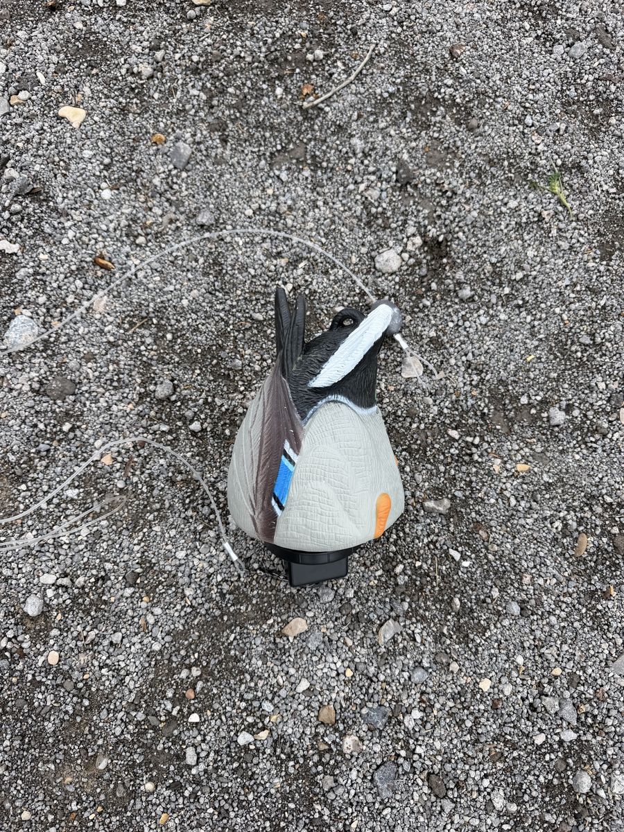Lucky duck quiver duck butt decoy