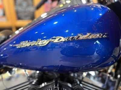 Harley-Davidson 2015 Road Glide Special