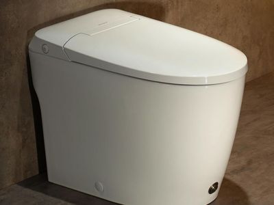 Casta Diva Elongated One Piece Toilet