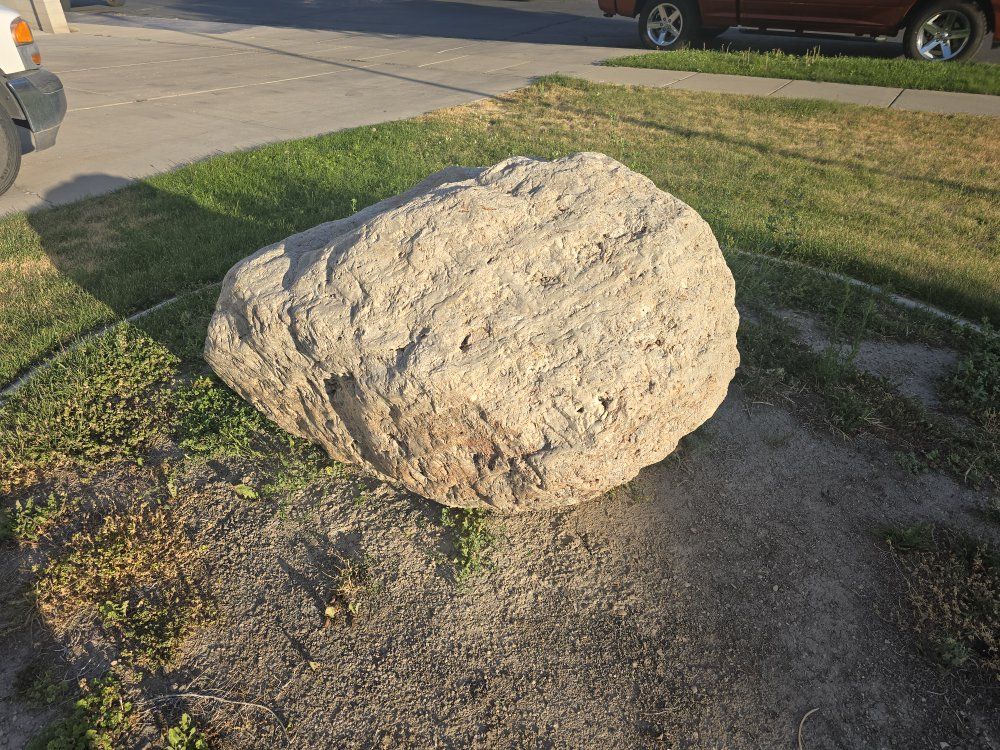 Main image 5