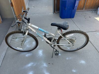 road master mtn fury