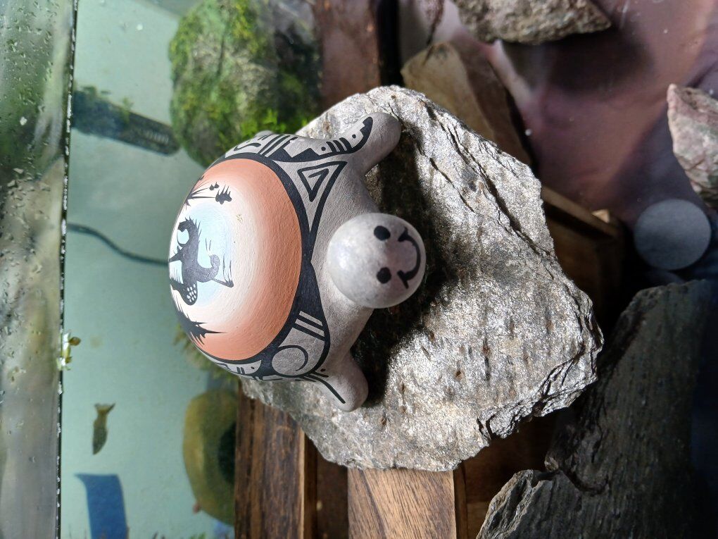 vintage collectible Native American pottery turtle