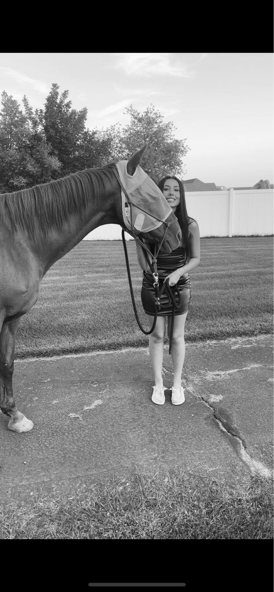 Horse for lease or sell - Lady May