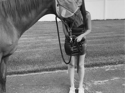 Horse for lease or sell - Lady May
