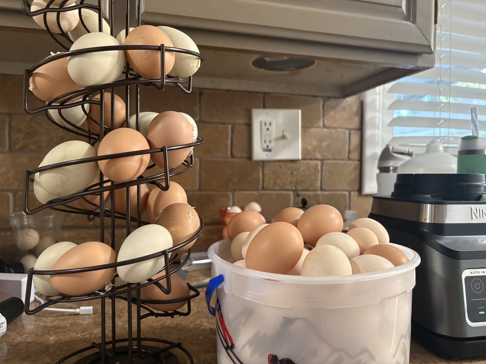 Farm Fresh Eggs - Mixed Colors and Sizes, Local Pickup Only $3 a dozen