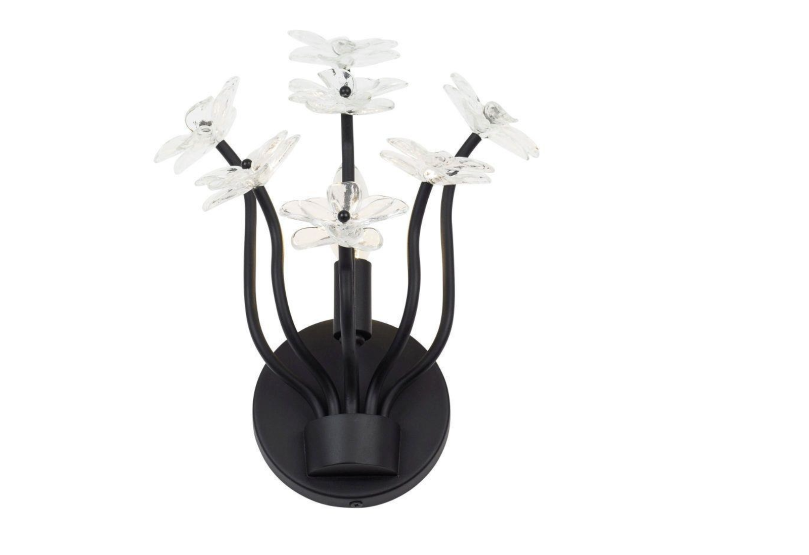 Main image 4