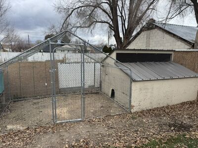 Chicken Coop & Run