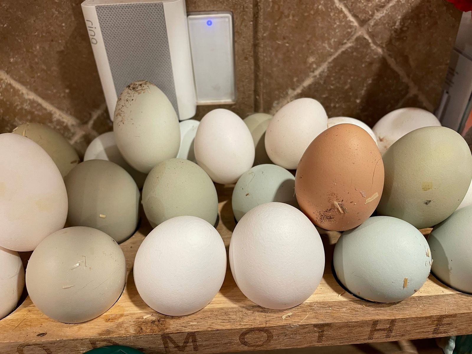 Farm Fresh Colored Eggs