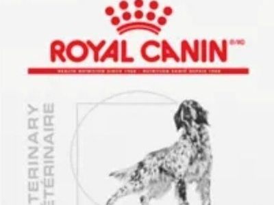 Royal Canin Veterinary Diet Urinary SO Dry Dog Food