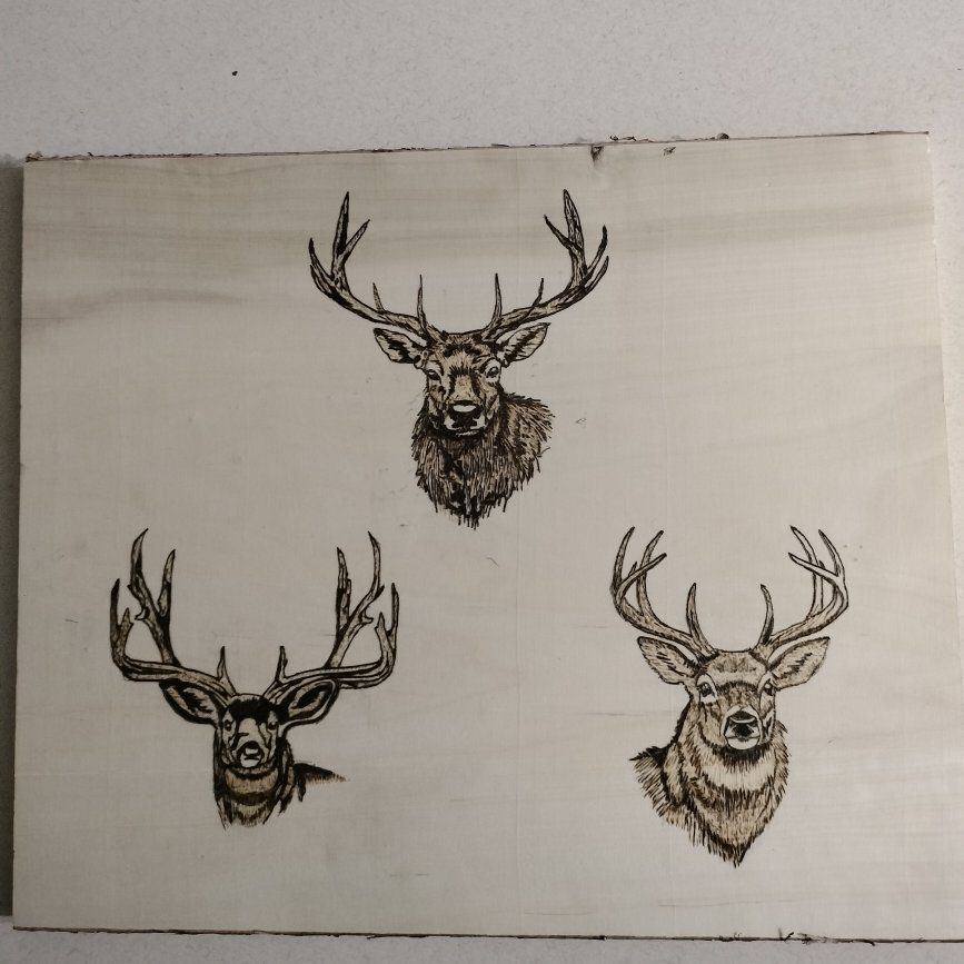 the ones that got away