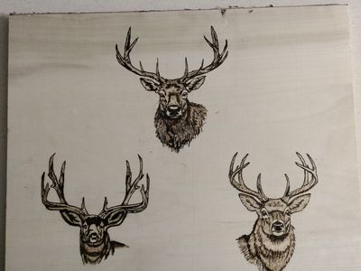 the ones that got away