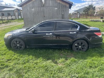 2010 Honda Accord