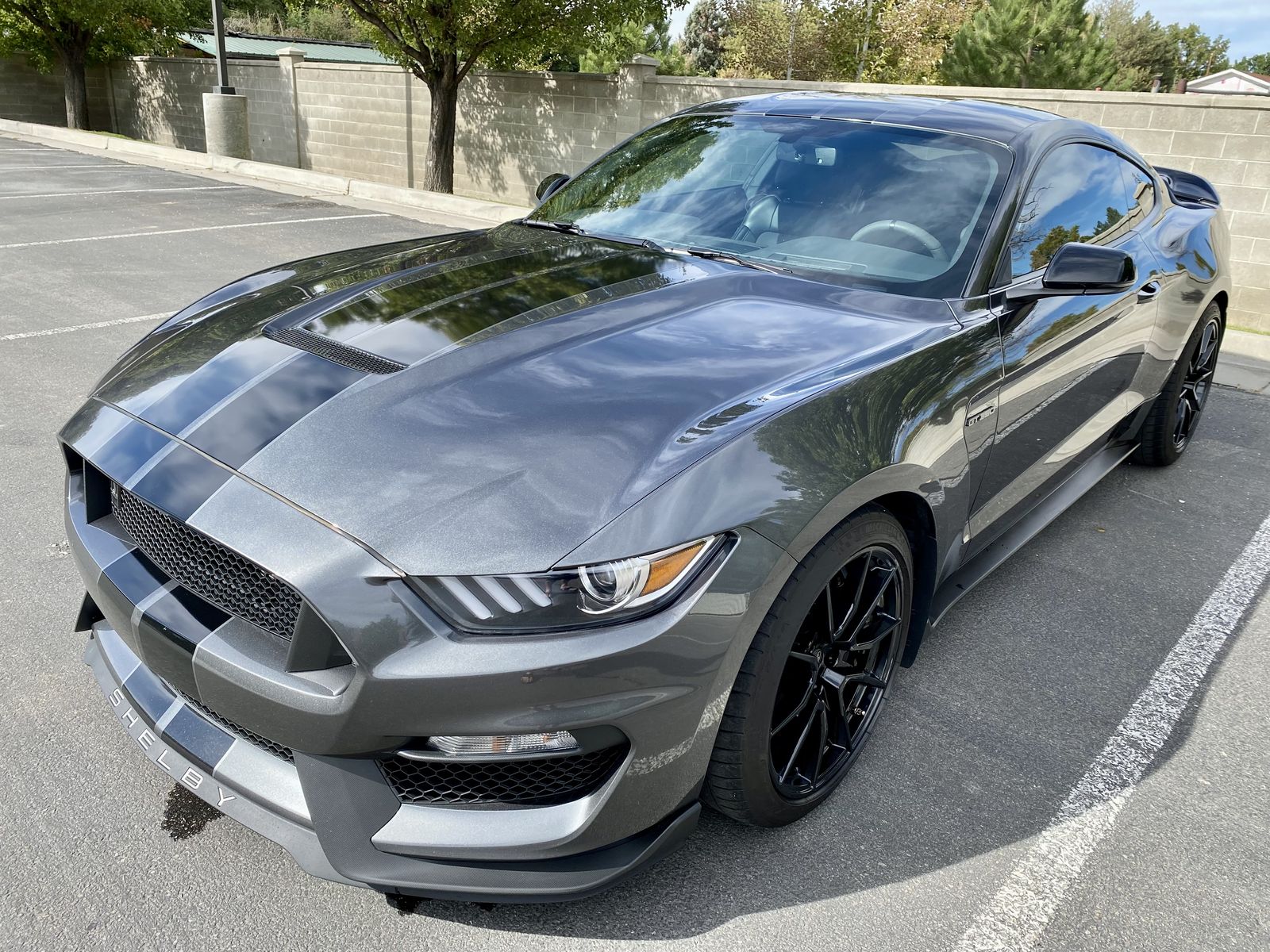 2019 Ford Mustang Shelby GT350