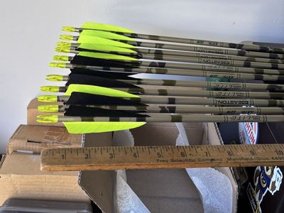 Aluminum Arrows 2216’s