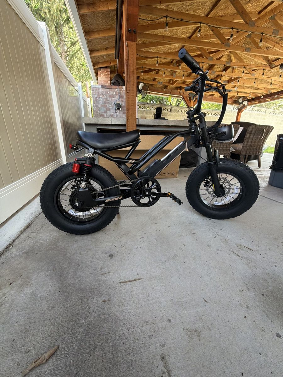 Jasion YR16 Electric Bike