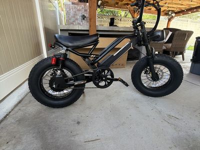 Jasion YR16 Electric Bike