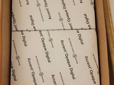 Accent Opaque Paper Warm White