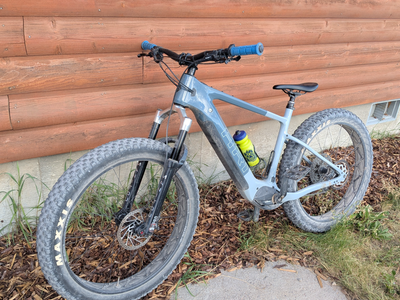 Ari Explorer Peak e-fatbike XL