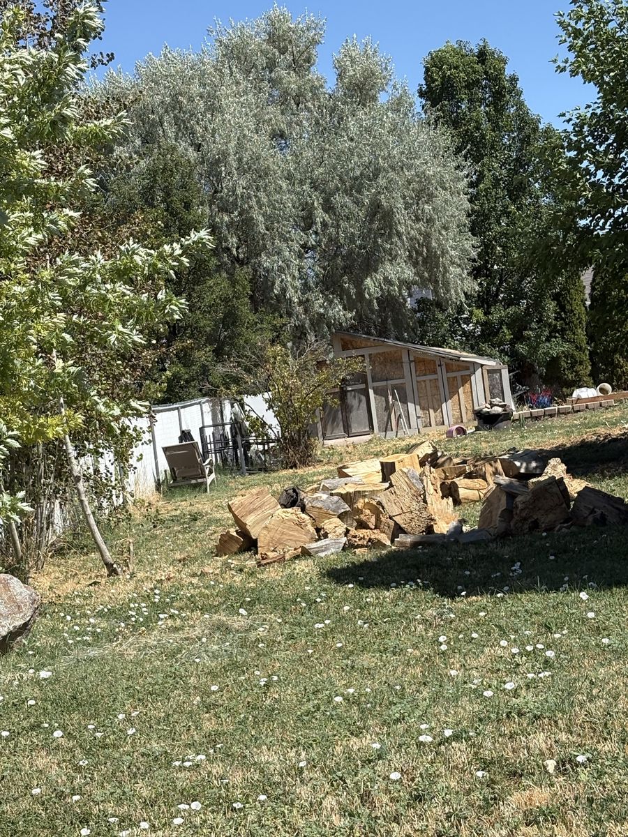 FREE Firewood