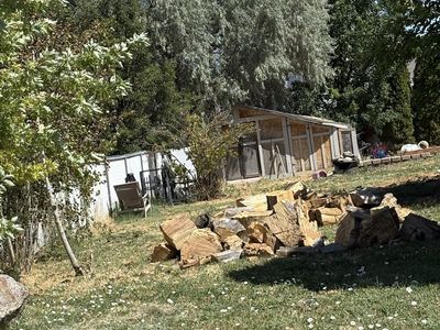 FREE Firewood