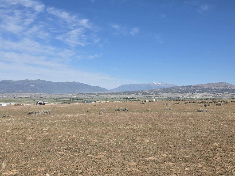 Main image 8