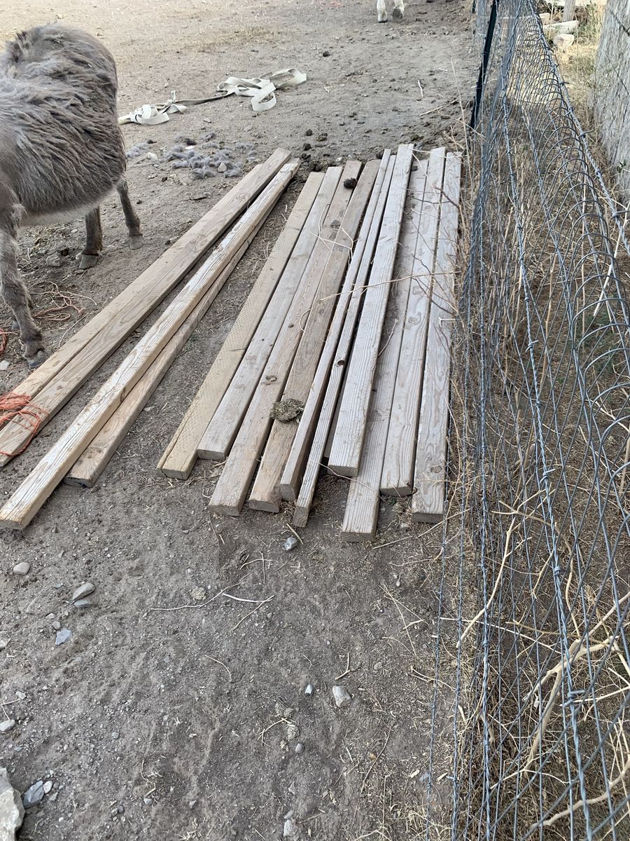 8 foot 2x4