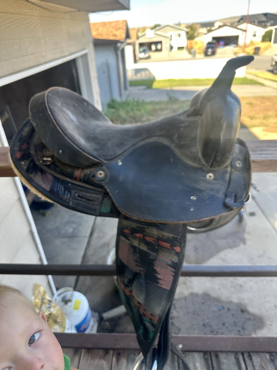 15” big horn saddle 