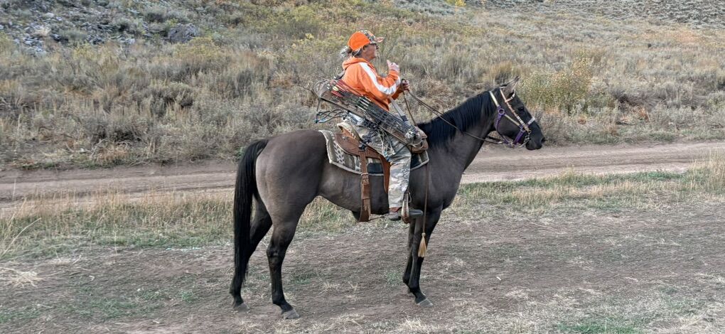 10th Annual Production Sale Roping Cutting Bred