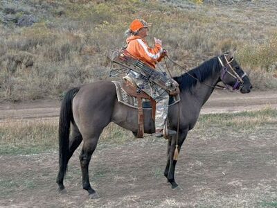 10th Annual Production Sale Roping Cutting Bred