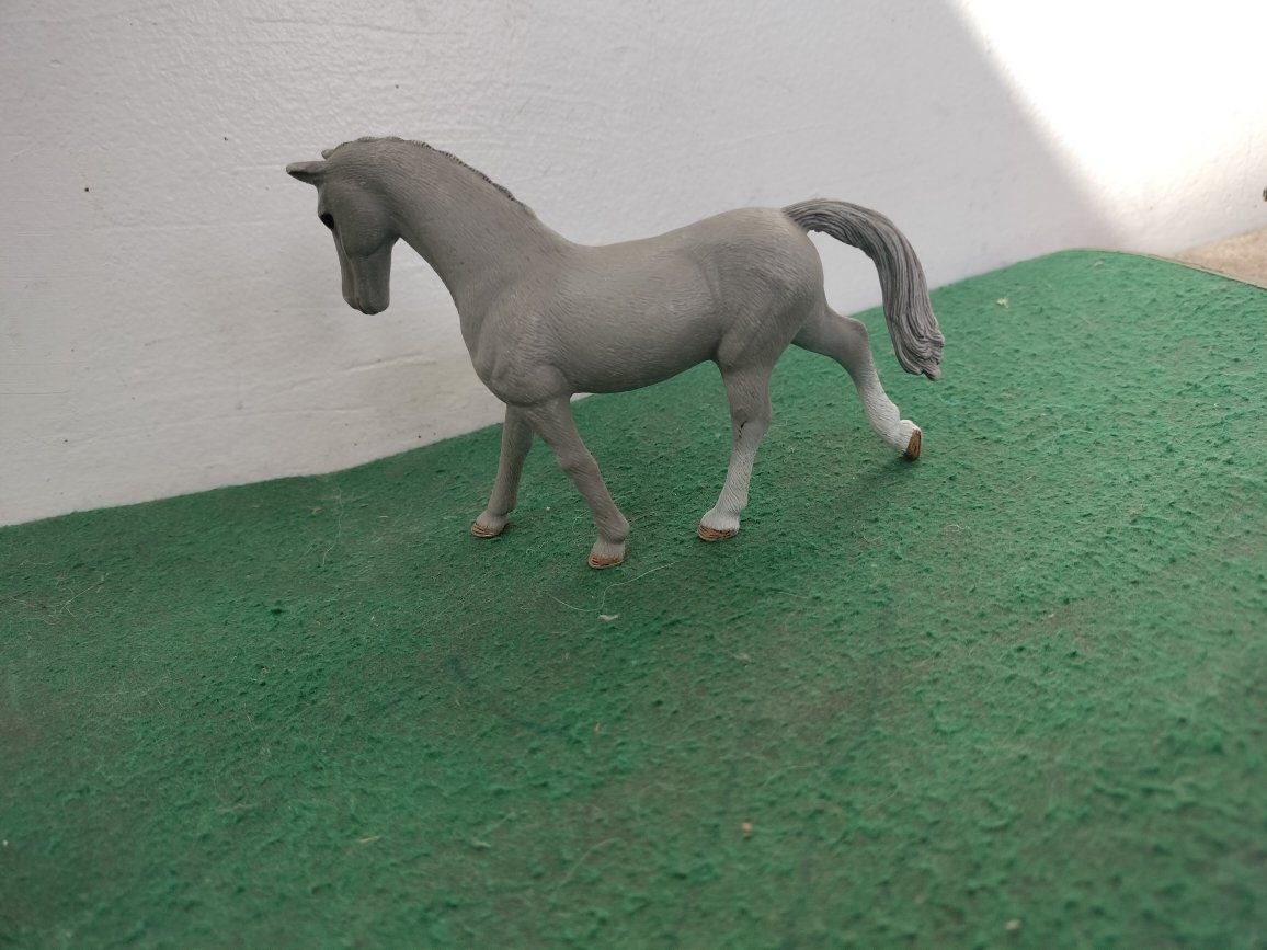 Main image 13