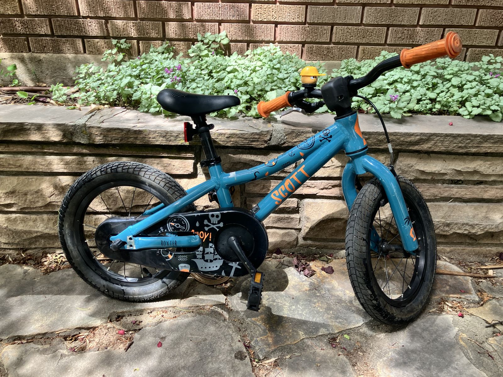 Scott Roxter -- training wheels included