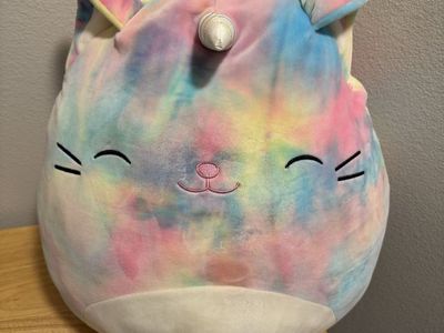 Big squishmallow