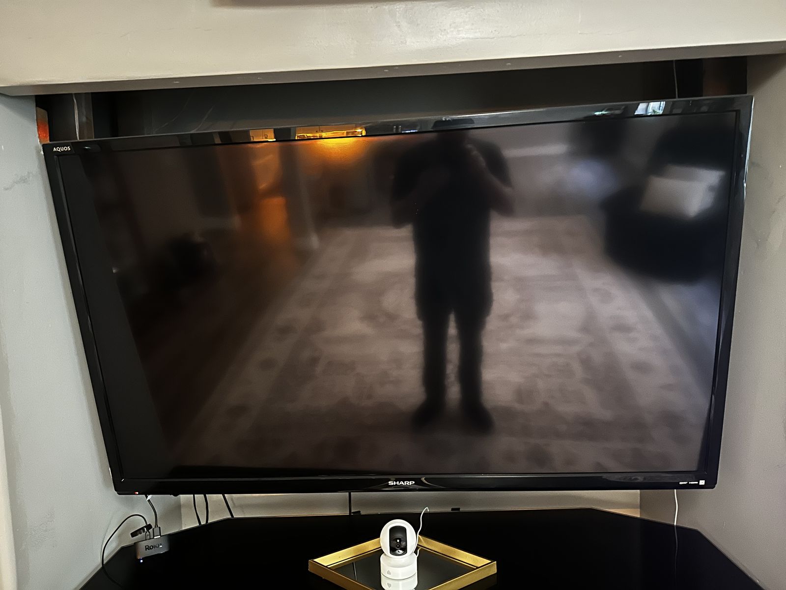 Sharp Aquios 65 Inch LCD