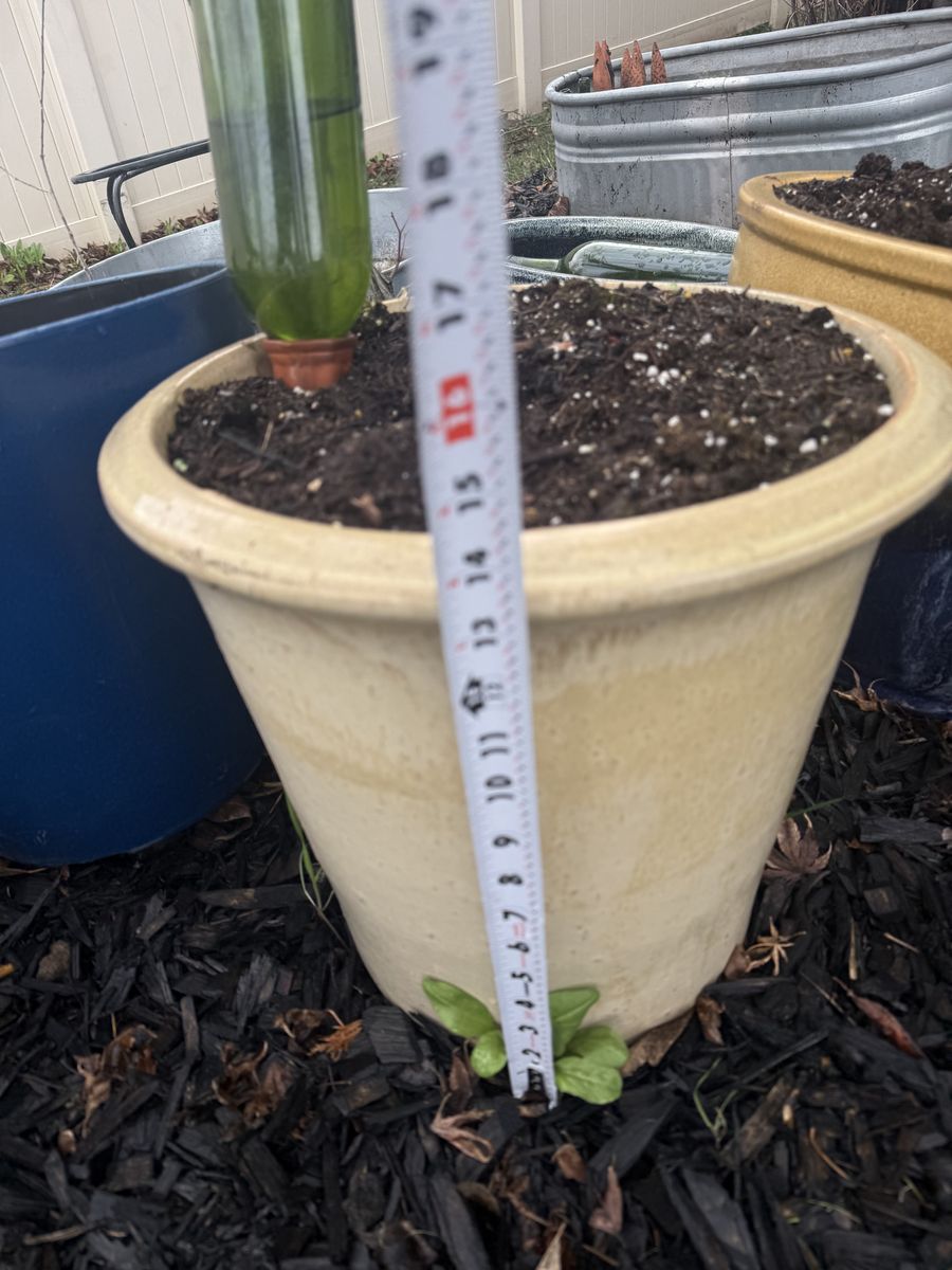 14 Inch Ceramic Beige Planter/Pot