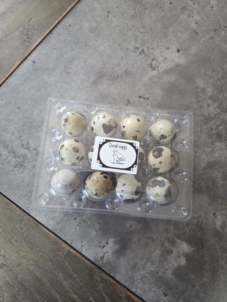 Fresh Quail Eggs - Naturally Spotted, Farm Fresh Dozen