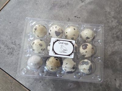 Fresh Quail Eggs - Naturally Spotted, Farm Fresh Dozen