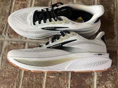 Brand New Brooks Ghost 17
