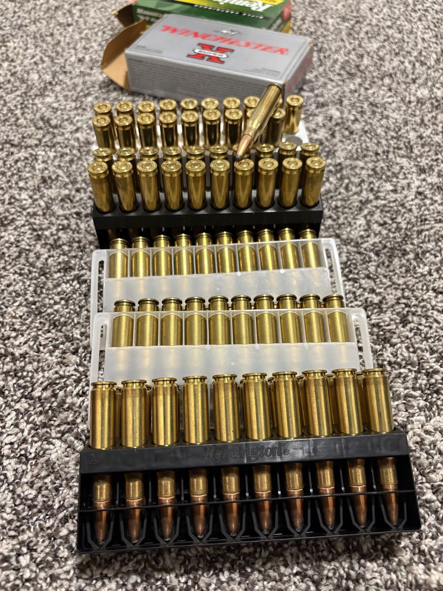 308 Winchester Ammo