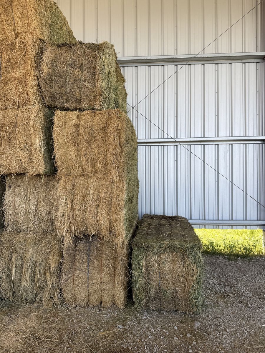 Feeder Hay