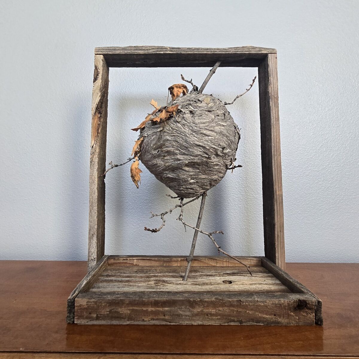 Hornet Nest Display