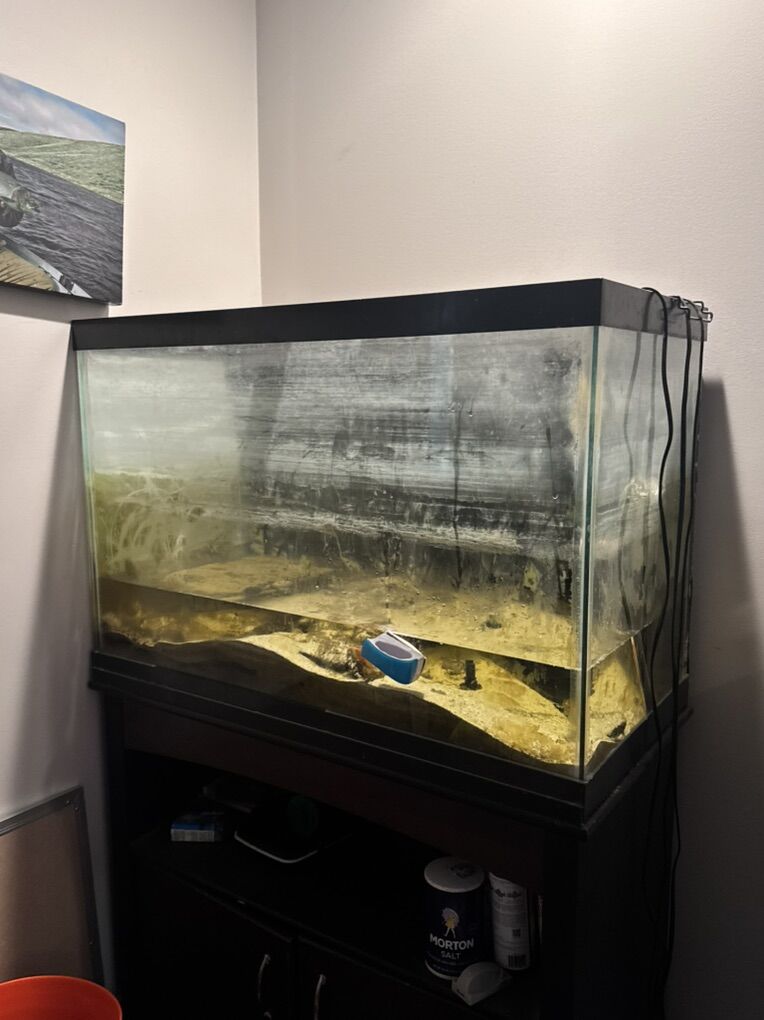 60 Gallon Fish Tank