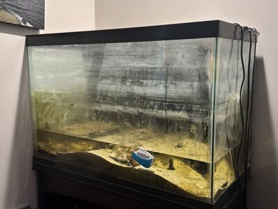 60 Gallon Fish Tank