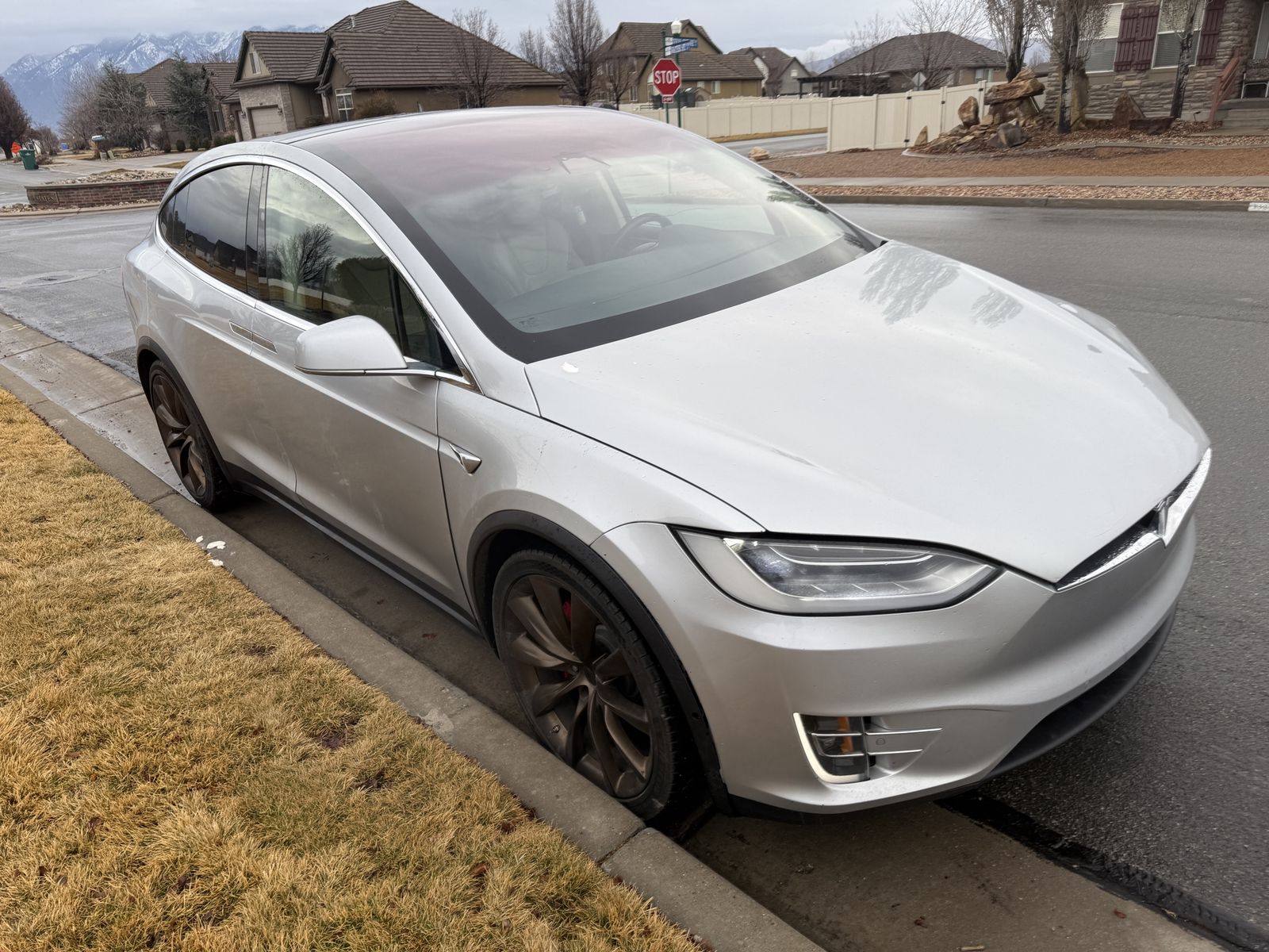 2017 Tesla Model X P100D