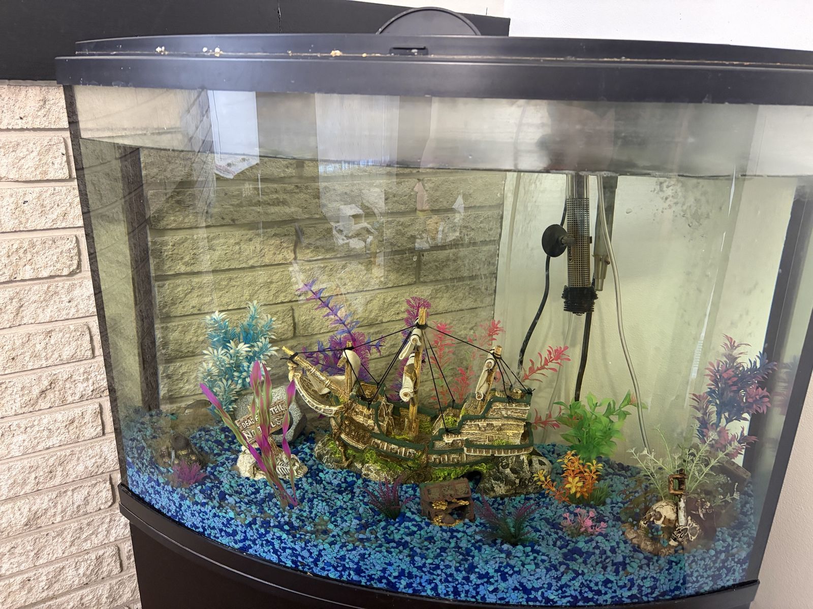 36 Gallon Bowfront Aquarium Tank with Stand and Accessories 